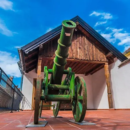 Aparthotel Casa Veche 4*
